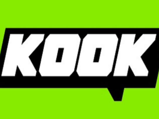 KOOK客户端为什么频繁崩溃闪退-KOOK崩溃闪退问题如何解决